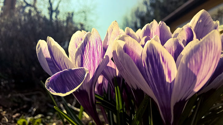 中药代谢时间揭秘:究竟需要多久  第4张 中药代谢时间揭秘:究竟需要多久  第4张