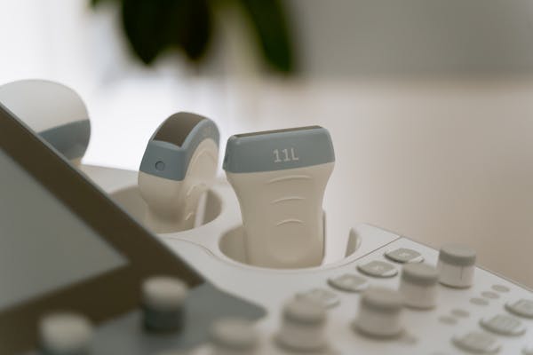 五味子的伤肾隐患:了解事实 第4张 五味子的伤肾隐患:了解事实 第4张