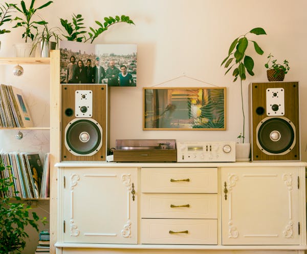 揭秘10大药材种植致富圣地 第3张 揭秘10大药材种植致富圣地 第3张